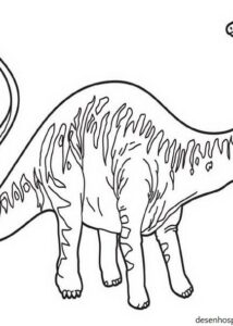 Desenhos de dinossauros 229